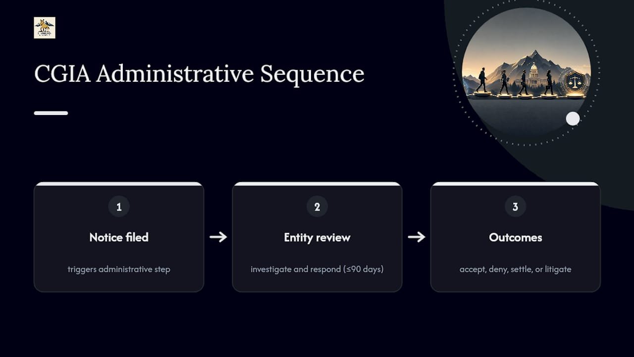 CGIA notice-to-resolution process diagram